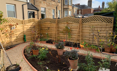 Fence panels with curved tops